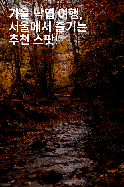 가을 낙엽 여행, 서울에서 즐기는 추천 스팟!
-여행낭만