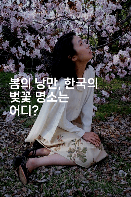 봄의 낭만, 한국의 벚꽃 명소는 어디?