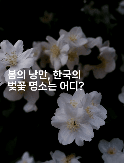 봄의 낭만, 한국의 벚꽃 명소는 어디?
2-여행낭만