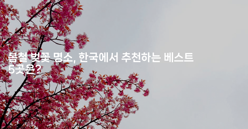 봄철 벚꽃 명소, 한국에서 추천하는 베스트 5곳은?