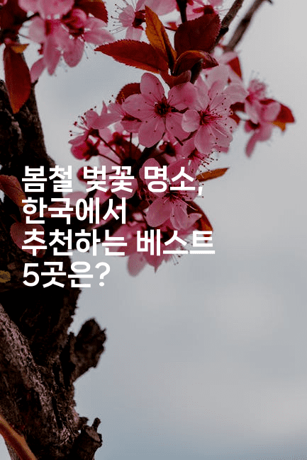 봄철 벚꽃 명소, 한국에서 추천하는 베스트 5곳은?
2-여행낭만