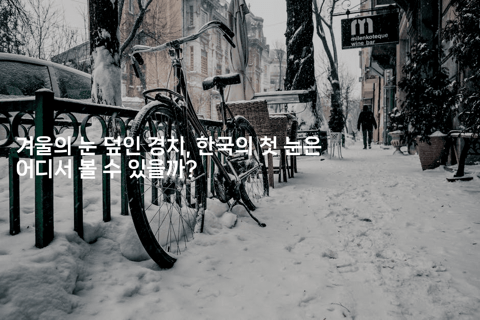 겨울의 눈 덮인 경치, 한국의 첫 눈은 어디서 볼 수 있을까?
2-여행낭만