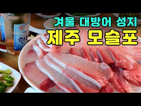 [제주도 맛집] 겨울 최고 계절별미 대방어 먹방과 모슬포 방어축제  & 맛있는 방어 고르는 법 – Korea jejudo restaurant  tour