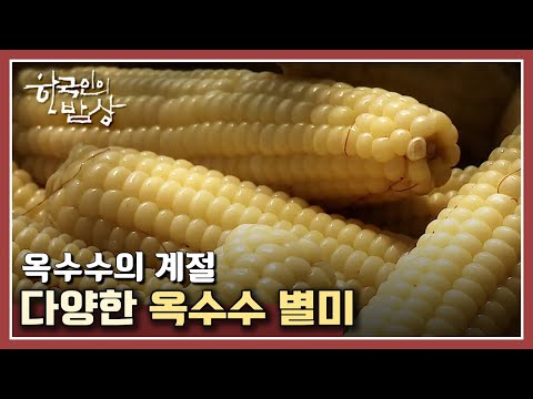[한국인의 밥상] 옥수수의 계절, 괴산 옥수수 가족의 여름 별미
