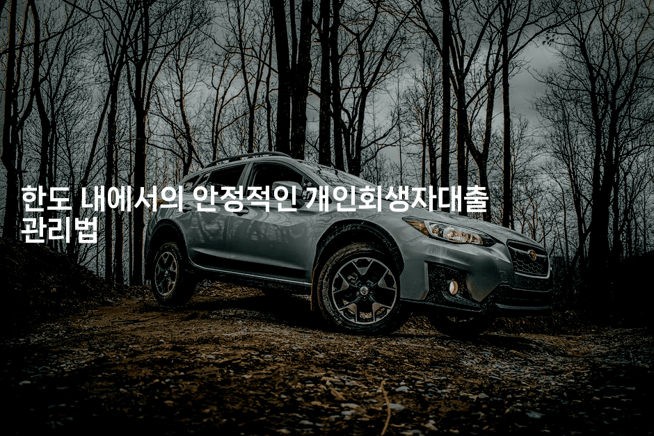 한도 내에서의 안정적인 개인회생자대출 관리법-여행낭만