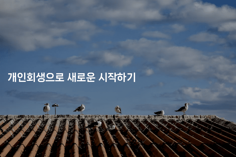 개인회생으로 새로운 시작하기-여행낭만