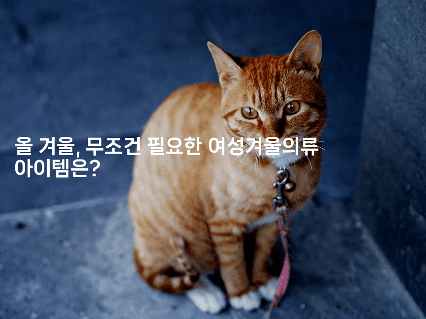 올 겨울, 무조건 필요한 여성겨울의류 아이템은?-여행낭만