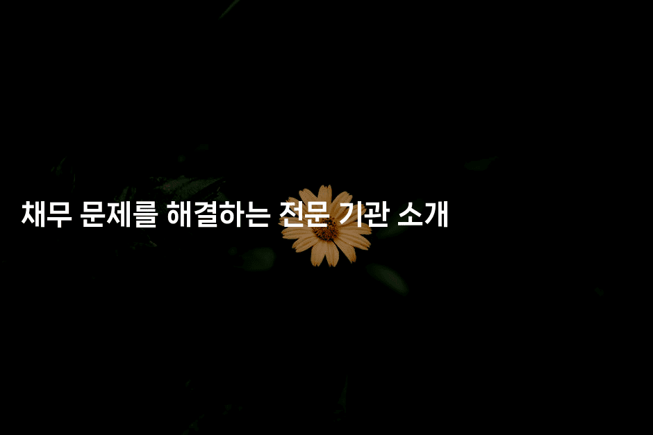 채무 문제를 해결하는 전문 기관 소개-여행낭만