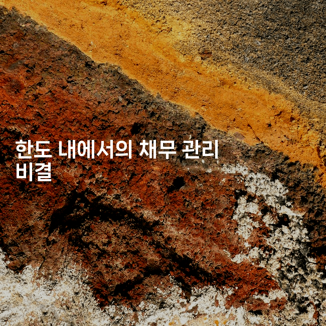 한도 내에서의 채무 관리 비결