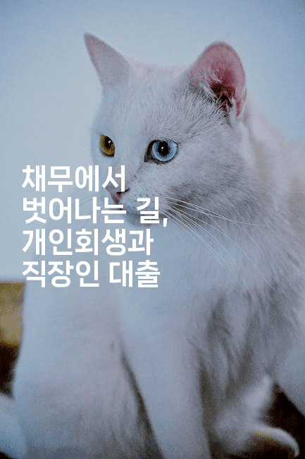 채무에서 벗어나는 길, 개인회생과 직장인 대출-여행낭만