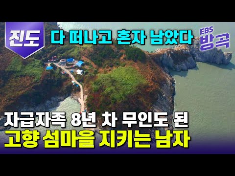 [전남 진도] 어쩌다 보니 나 홀로 자급자족 무인도 생존기? | 그리운 고향 집 돌아왔더니 주민들 다 떠나고 나 혼자 남았다 | 무인도 나 홀로 섬살이 중 | #한국기행 #방방곡곡