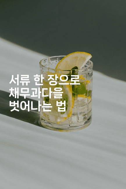 서류 한 장으로 채무과다을 벗어나는 법-여행낭만