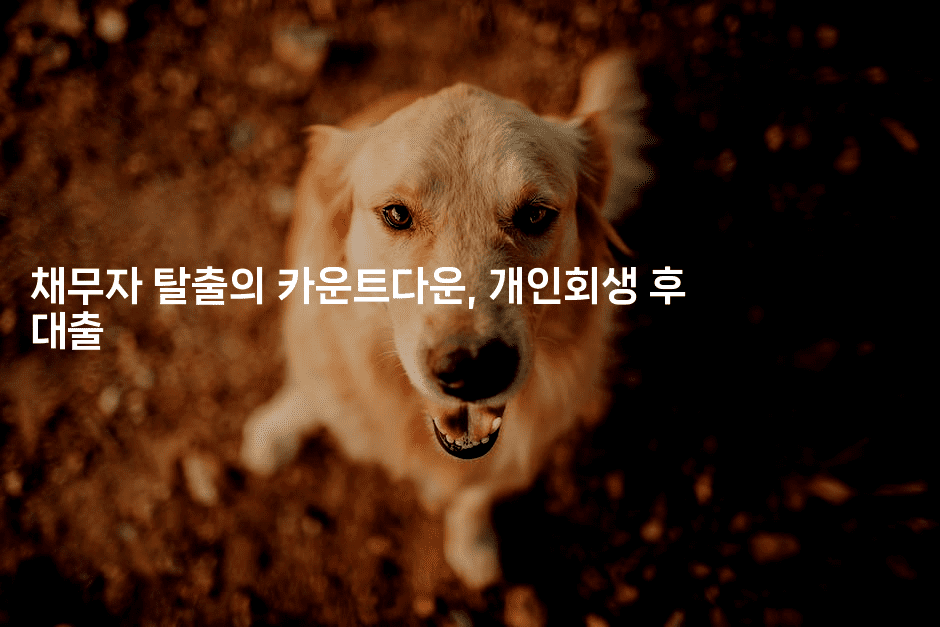 채무자 탈출의 카운트다운, 개인회생 후 대출-여행낭만